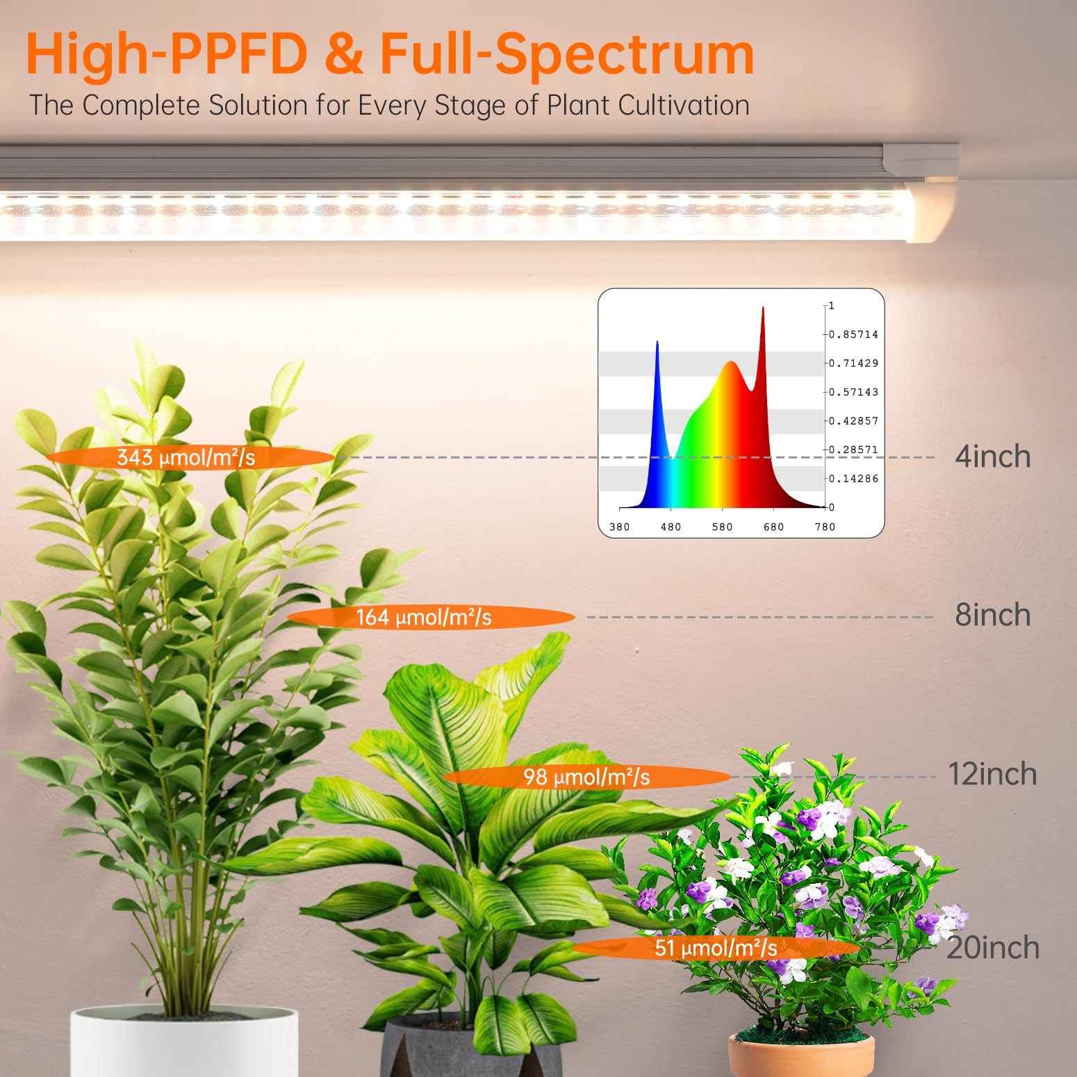 Bstrip high PPFD at close range supports robust growth.