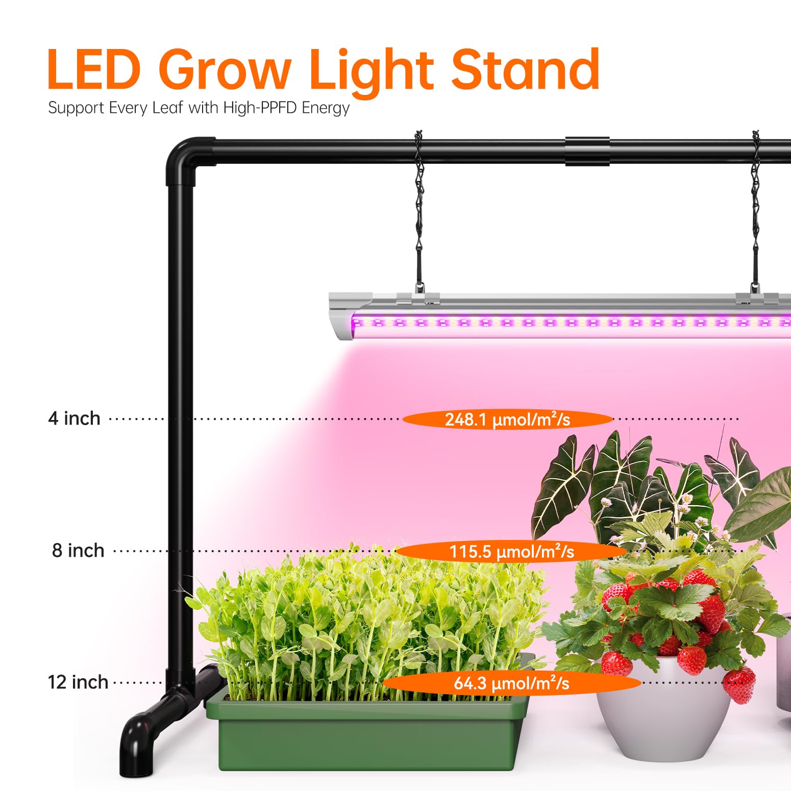 Bstrip Grow Light Stand compact base fits tight spaces in apartments.