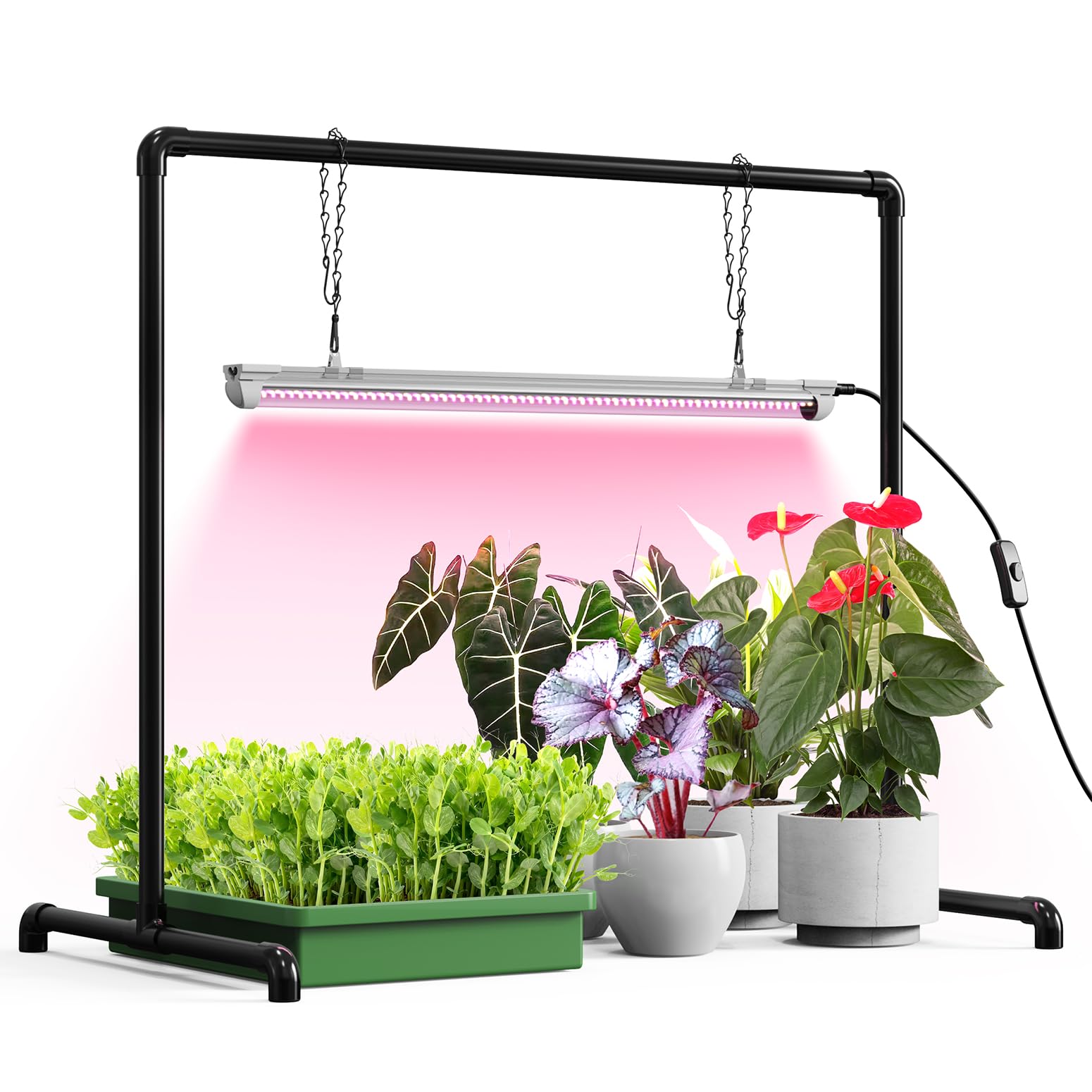Bstrip Grow Light Stand with full-spectrum LEDs supports balanced seedling growth.