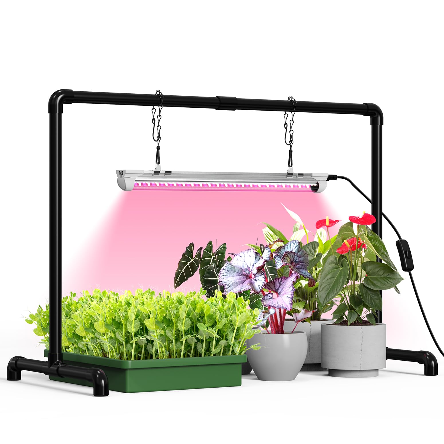 Bstrip Grow Light Stand full-spectrum beam for seedlings and cuttings.
