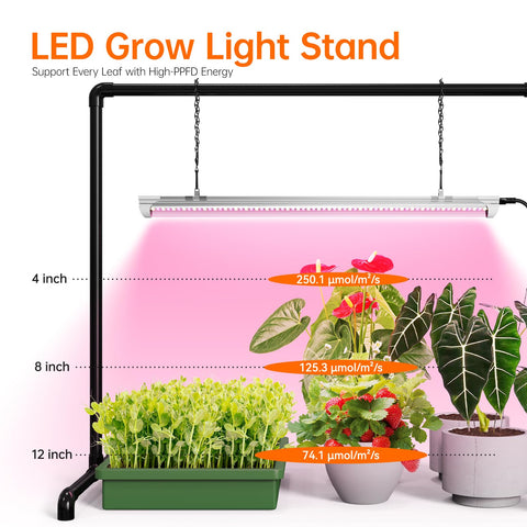 Spacious footprint supports multiple pots for efficient indoor growing.