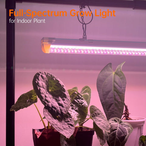 Bstrip Grow Light Stand sturdy frame keeps lights stable on any surface.