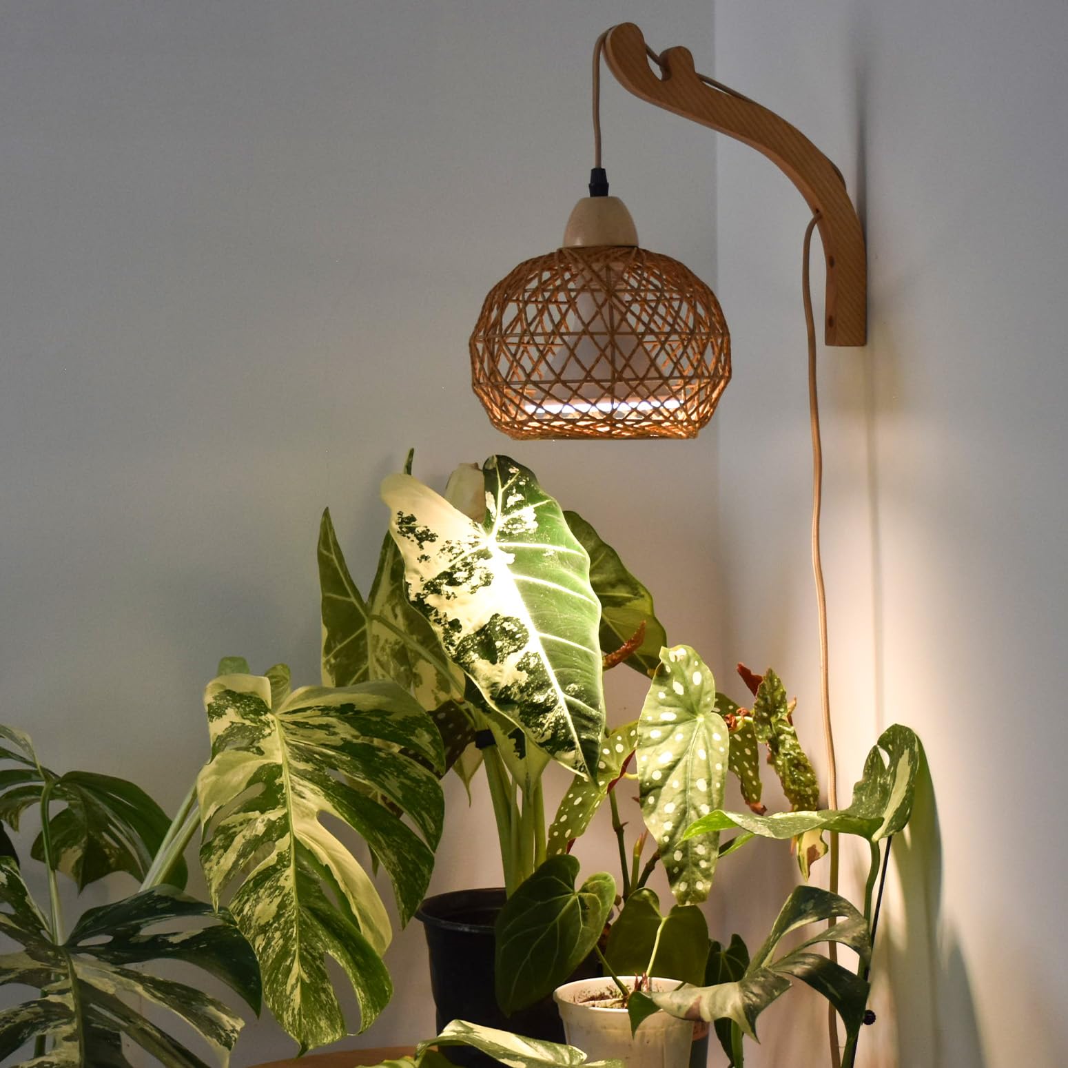 Bstrip hanging grow light with boho rattan lantern provides soft, diffuse light for indoor plants.