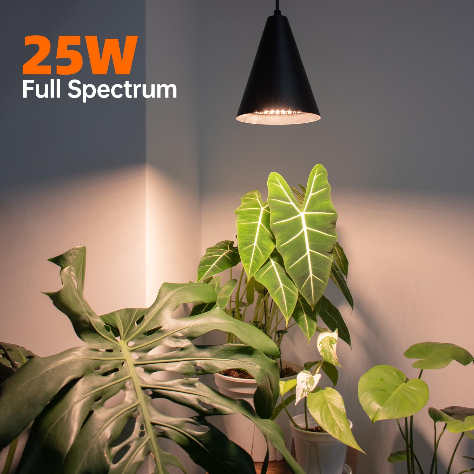 Bstrip light installation with ceiling clips enables easy setup.