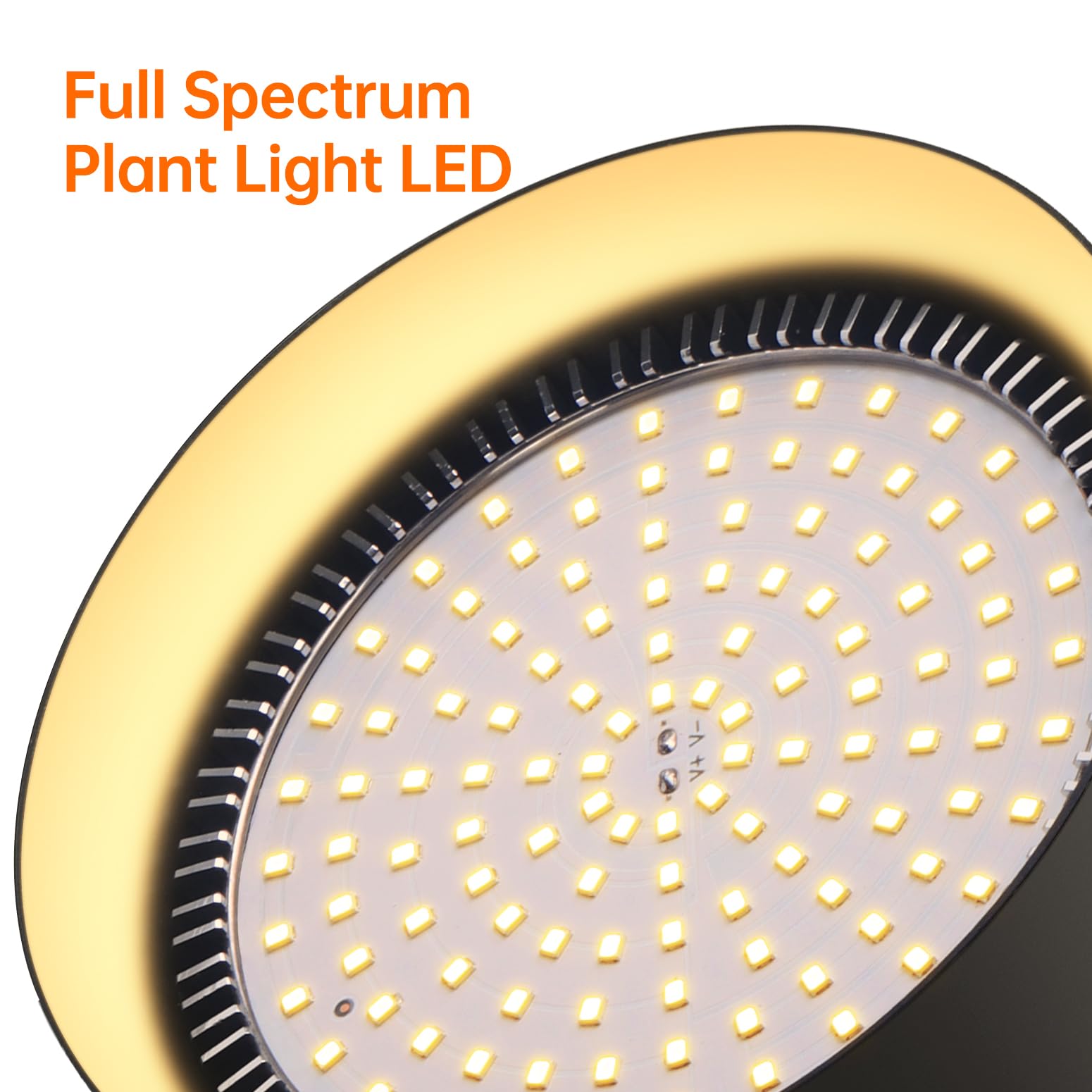 Bstrip complete kit supports effortless setup for plant care.