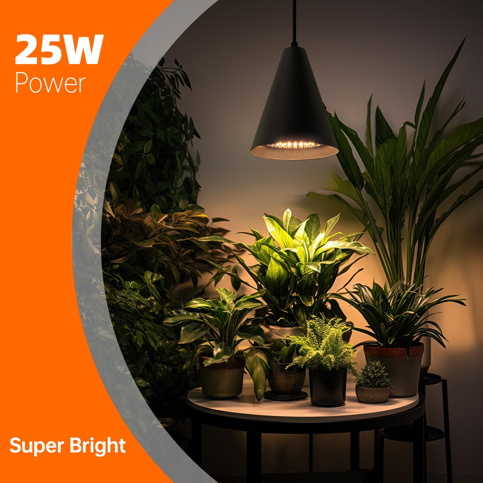 Bstrip grow light with timer demonstrates consistent indoor plant care.