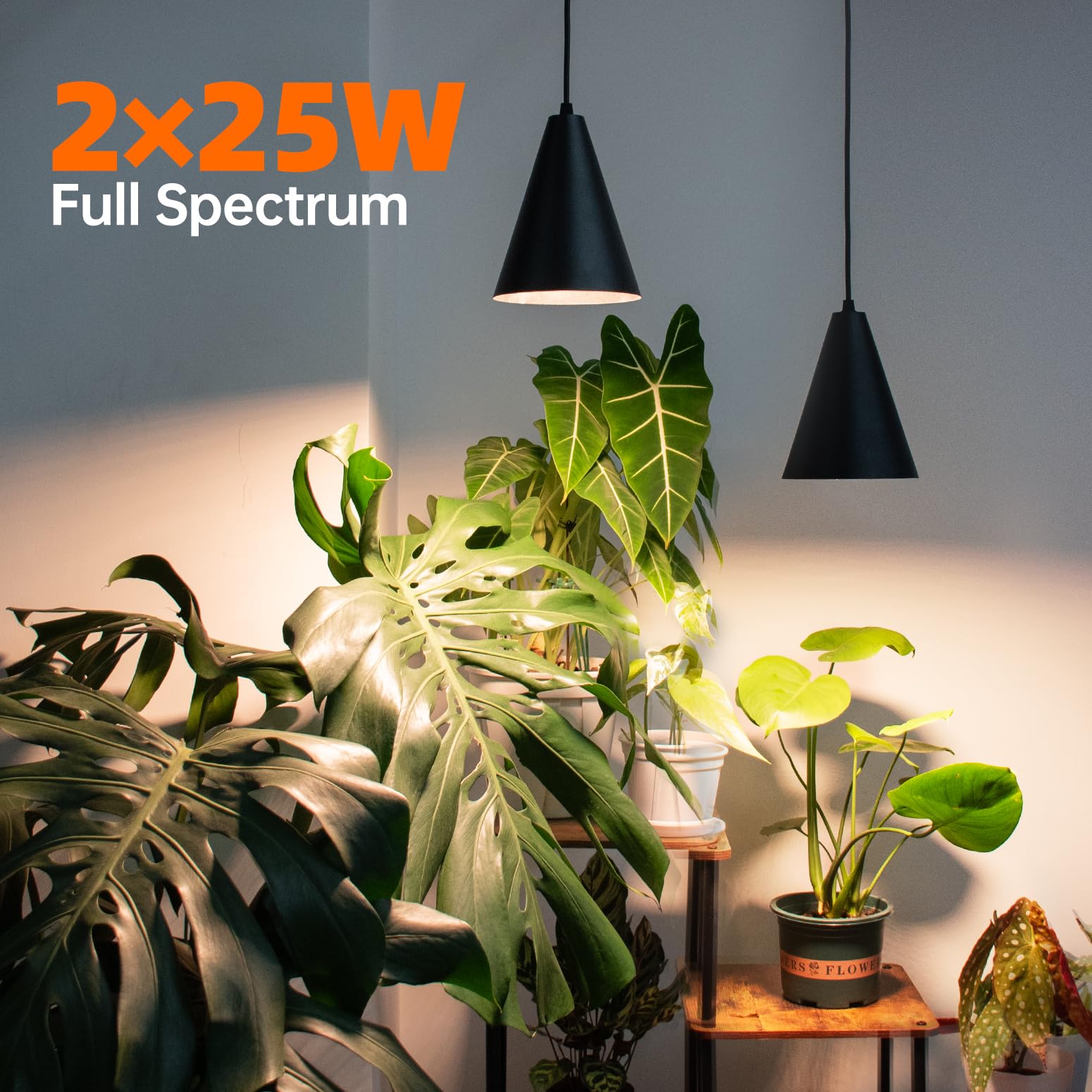 Bstrip high-CRI 98 render provides natural daylight colors for plants.