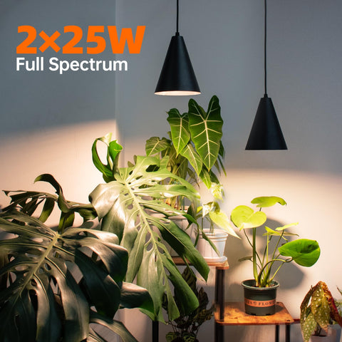 Bstrip high-CRI 98 render provides natural daylight colors for plants.