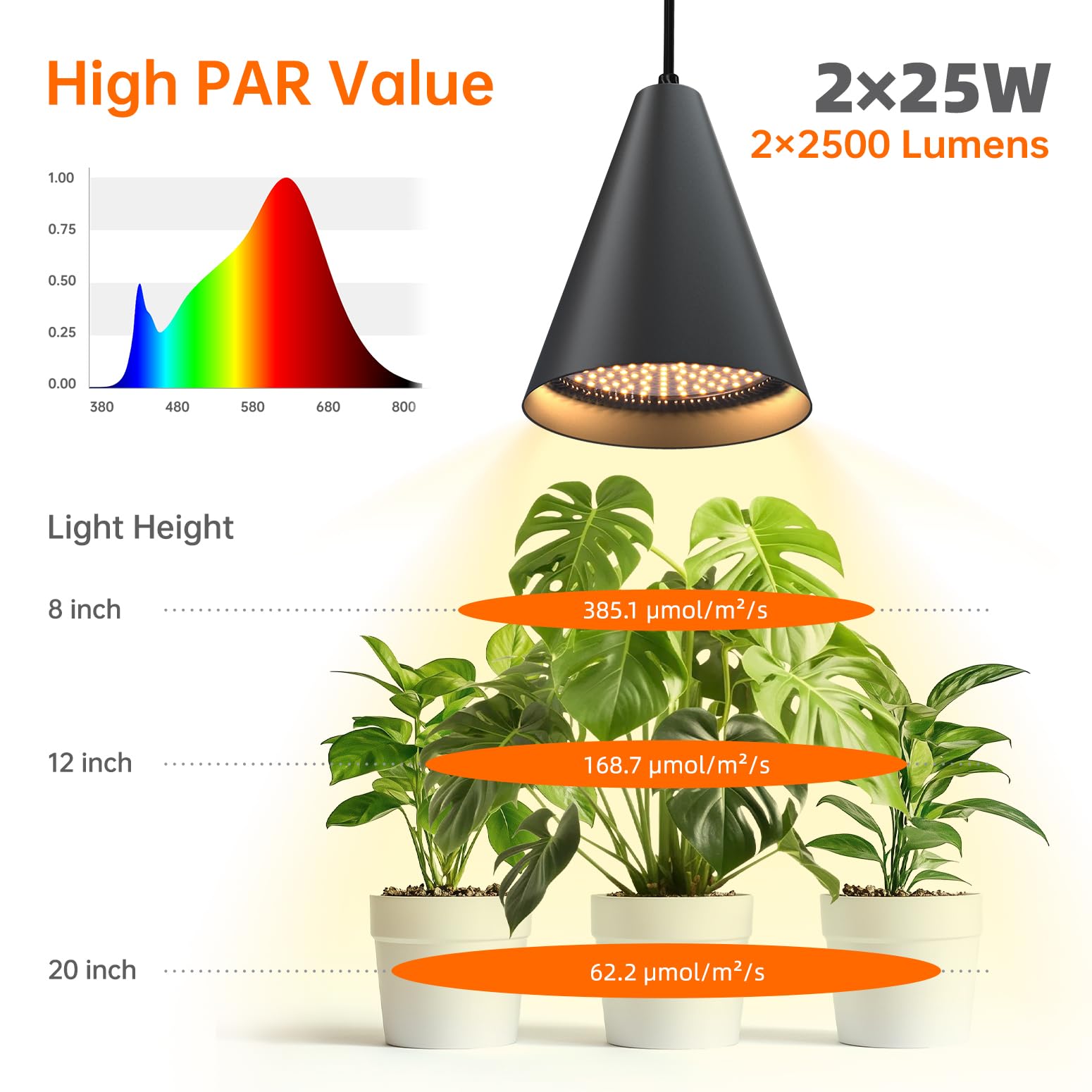 Bstrip ideal choice for tall plants like fiddle leaf fig.