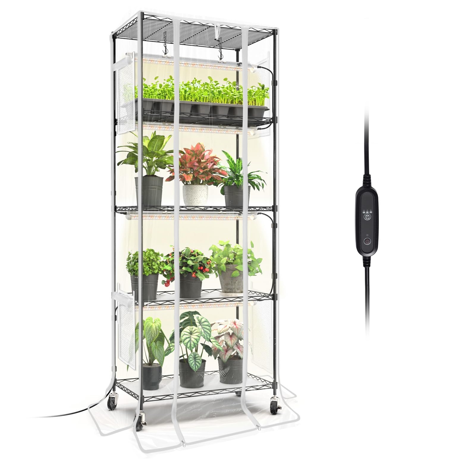 Bstrip Indoor Greenhouse 5-tier frame showcases spacious setup for seedlings and tropical plants.