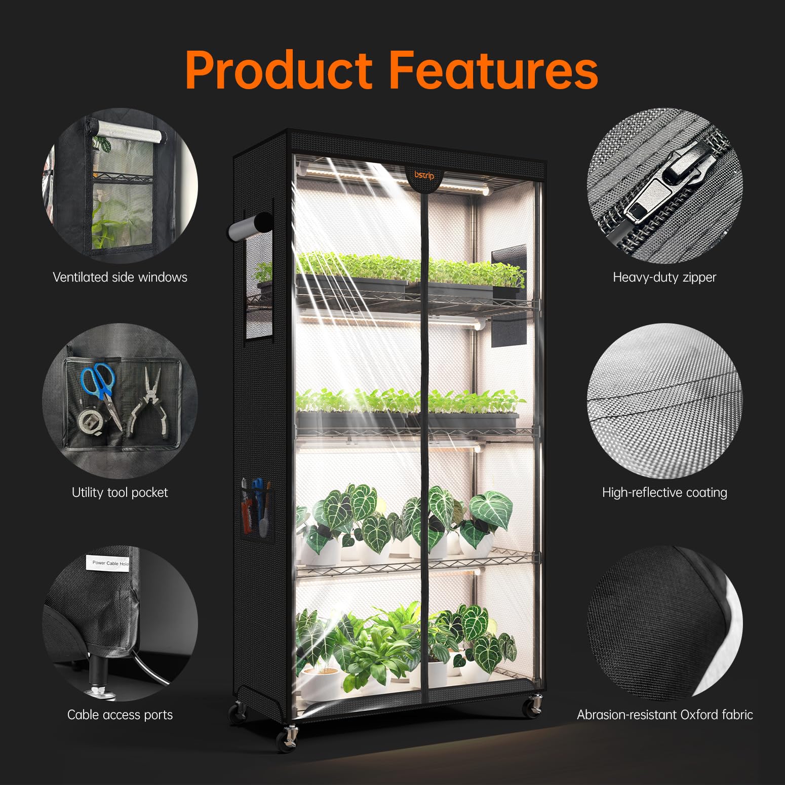 Bstrip auto-timer helps maintain consistent lighting for busy plant lovers.