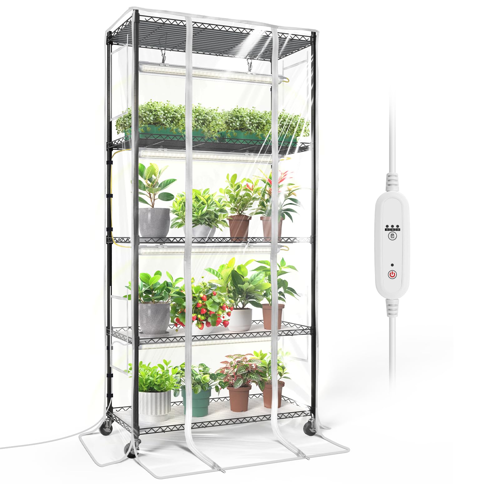Bstrip indoor greenhouse cabinet offers spacious growth area for seeds and plants.