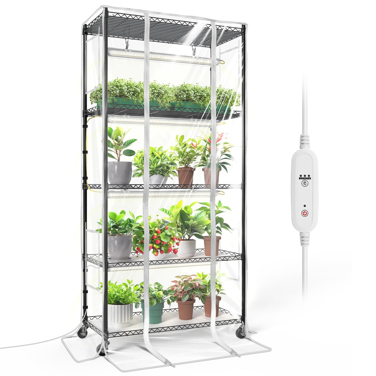 Bstrip indoor greenhouse cabinet offers spacious growth area for seeds and plants.
