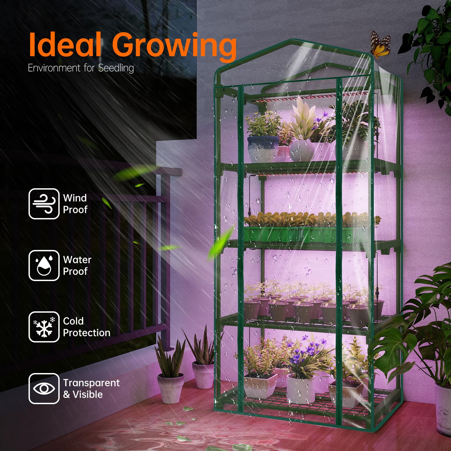 Clear PVC cover of Bstrip greenhouse for easy viewing