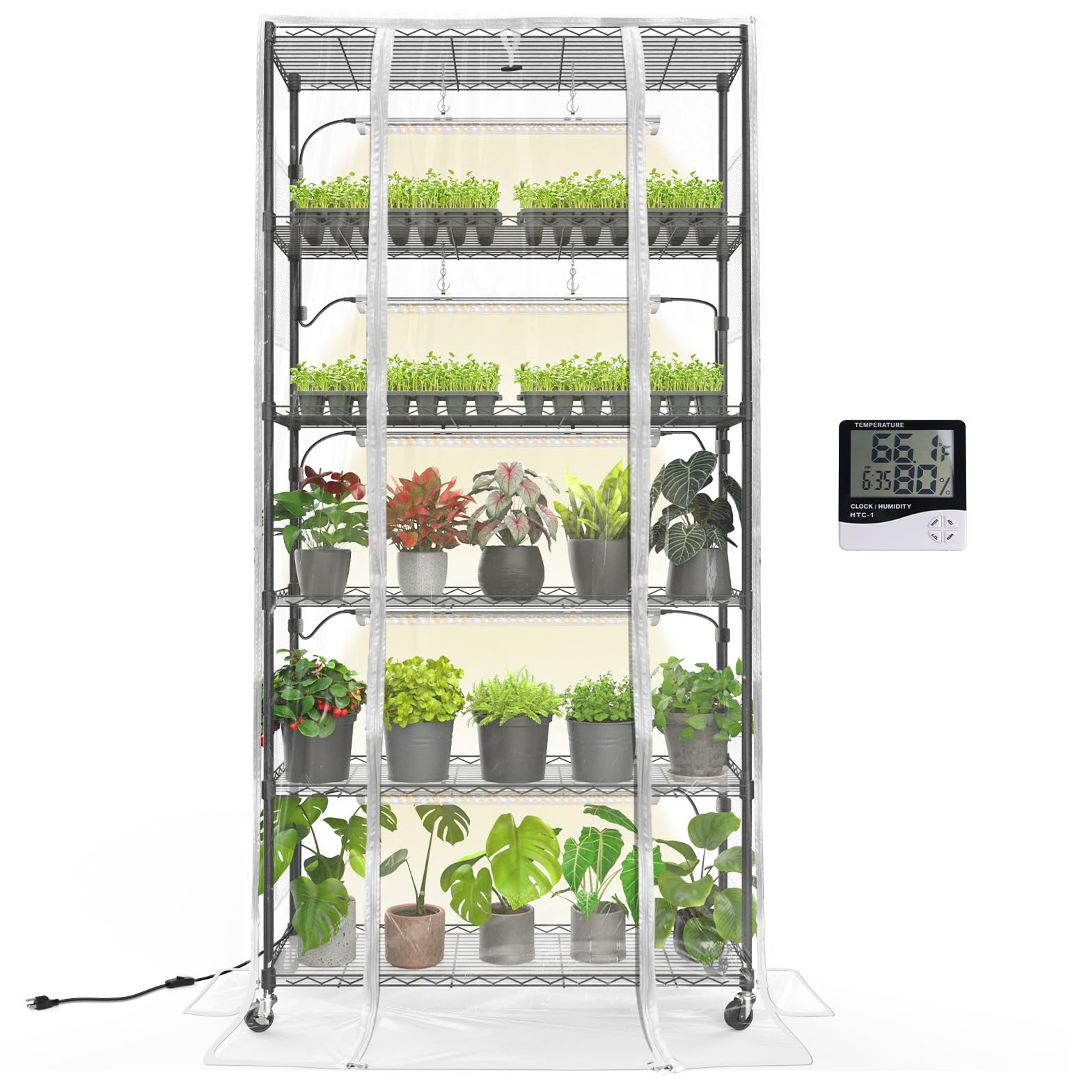 Bstrip indoor greenhouse with grow lights shows a spacious area for tropical plants indoors