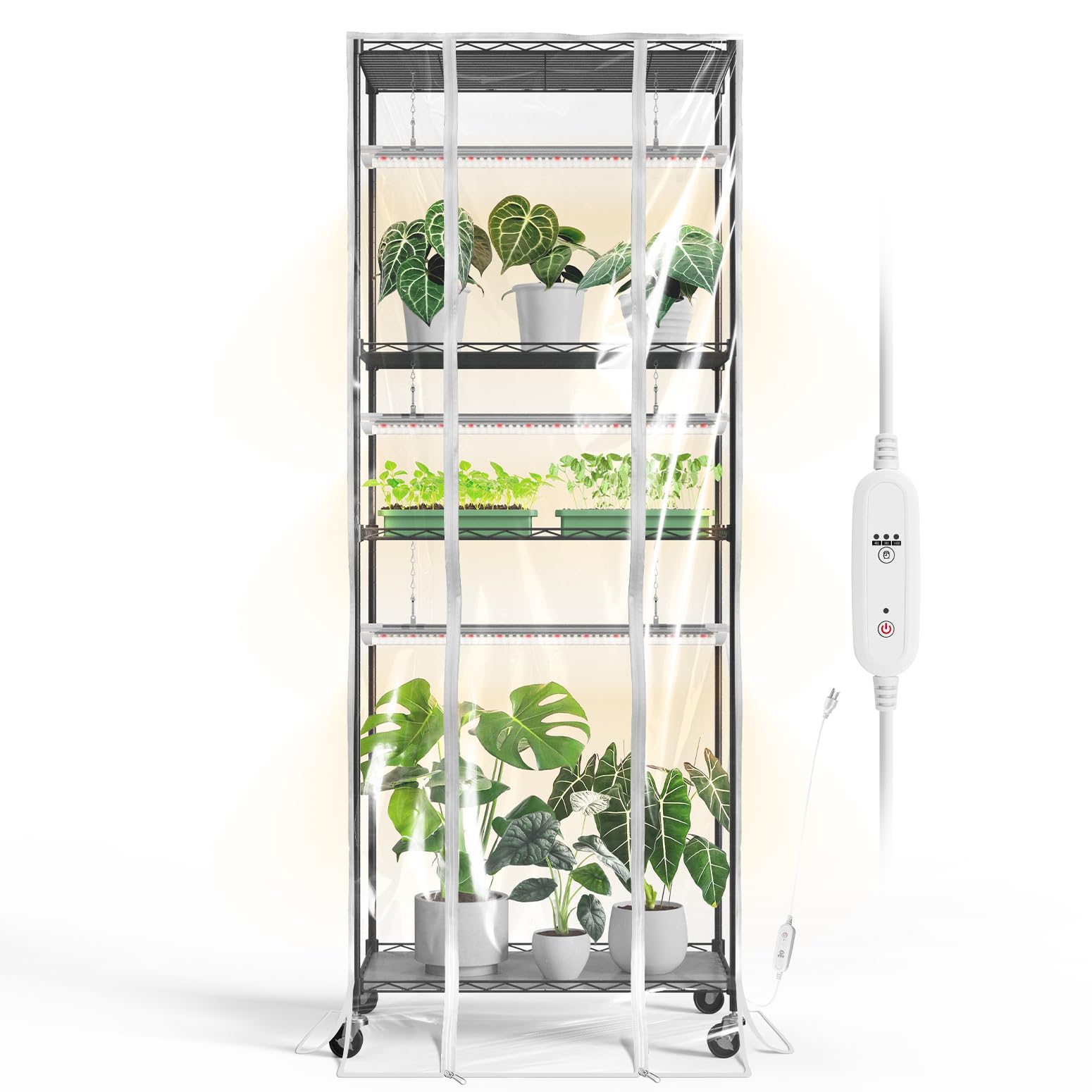 Bstrip indoor greenhouse with grow light for steady seedling growth and warmth.