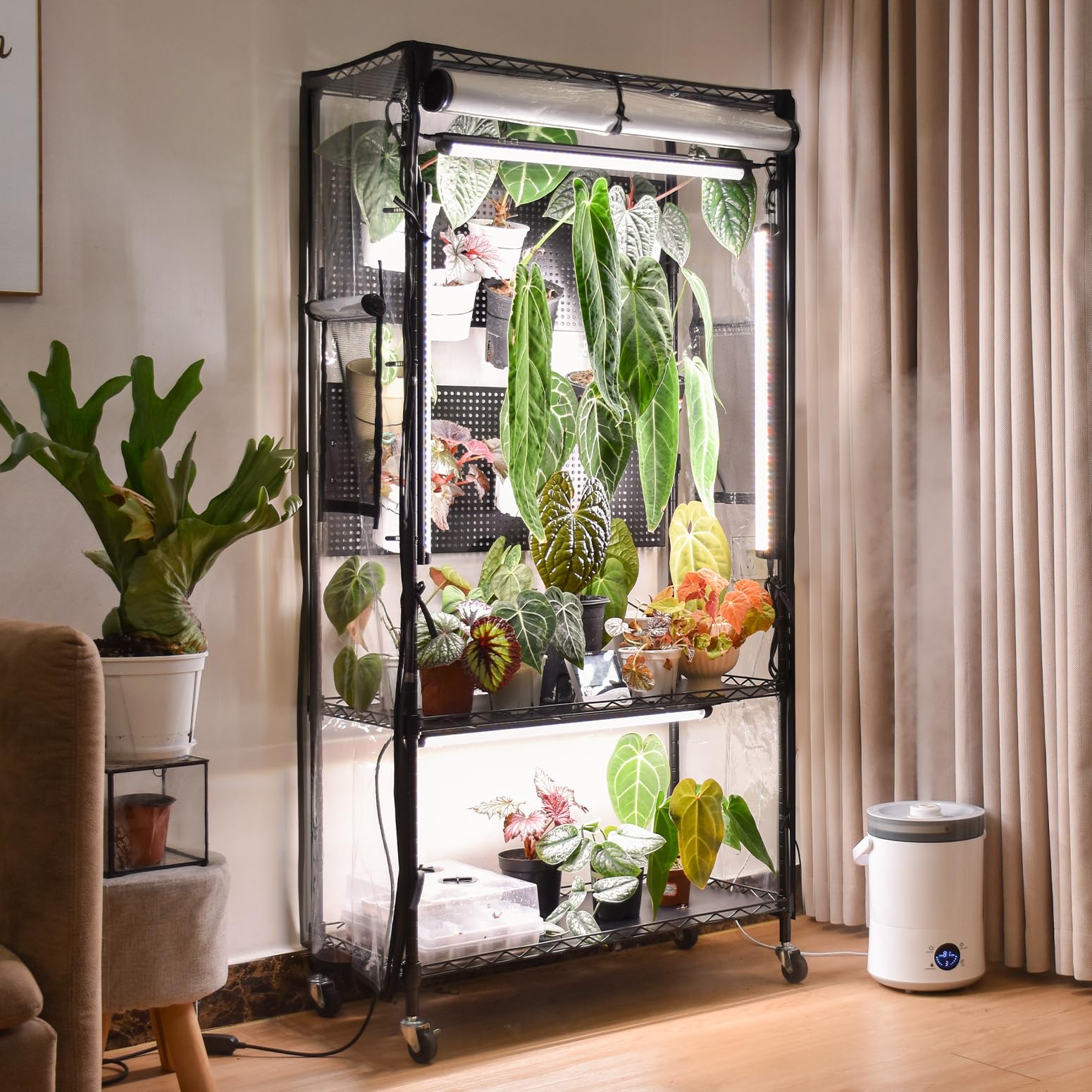 Bstrip indoor greenhouse with pegboard for organized plant display and easy watering.