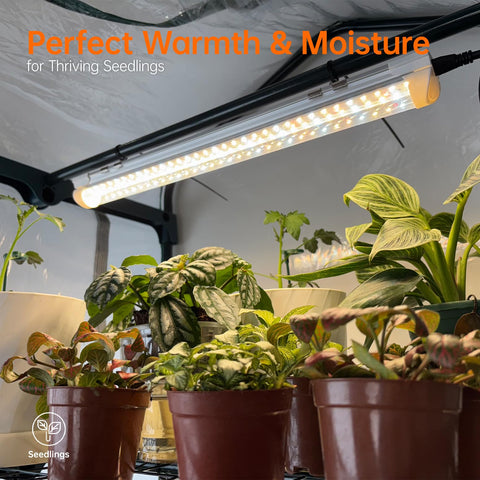 Bstrip roll-up door provides easy access during watering without disturbing plants.