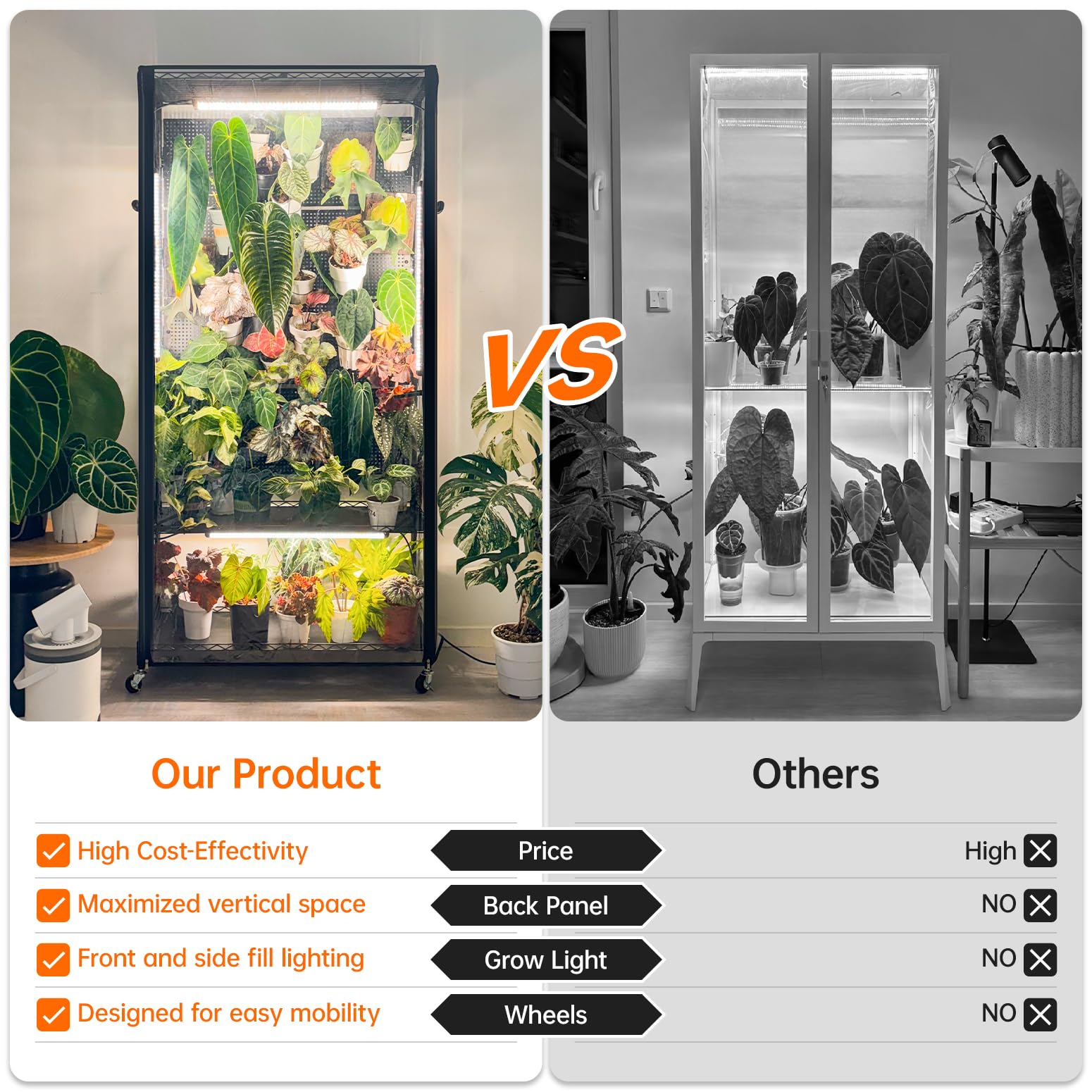 Spacious shelves enable multiple plants and creative display arrangements.