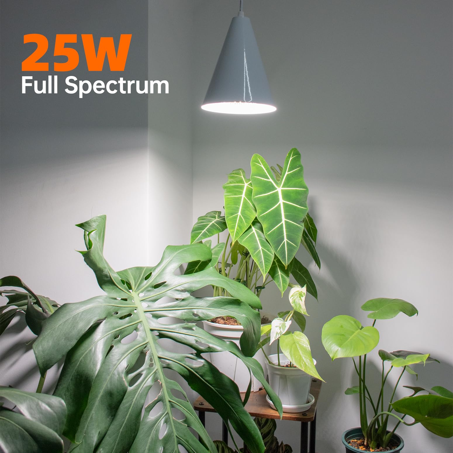 Close-up of Bstrip 120 premium LEDs delivering strong PPFD for plant growth