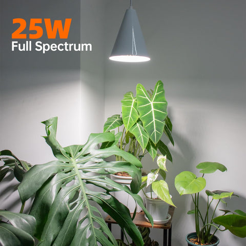Close-up of Bstrip 120 premium LEDs delivering strong PPFD for plant growth