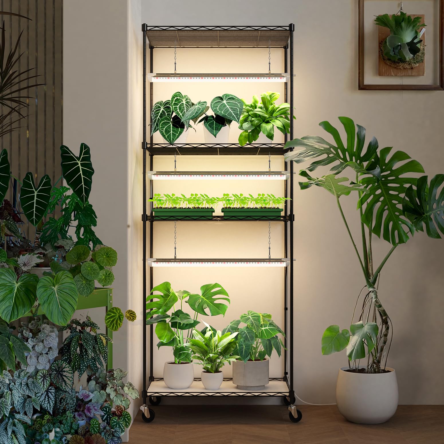 Bstrip plant shelf supports multiple pots and seed trays across tiers