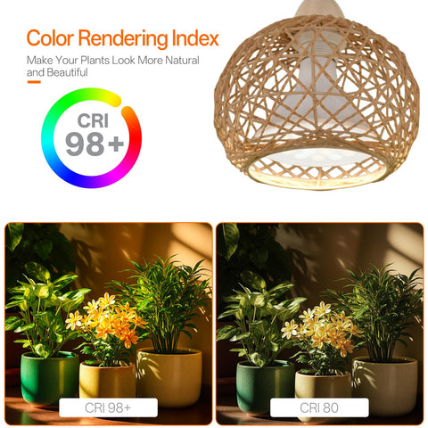 Bstrip full spectrum LEDs deliver vivid plant colors with 88+ CRI.