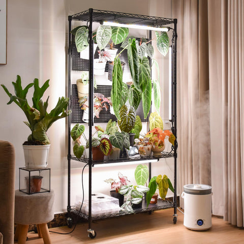 Bstrip plant cabinet with pegboard supports flexible plant hanging and display.