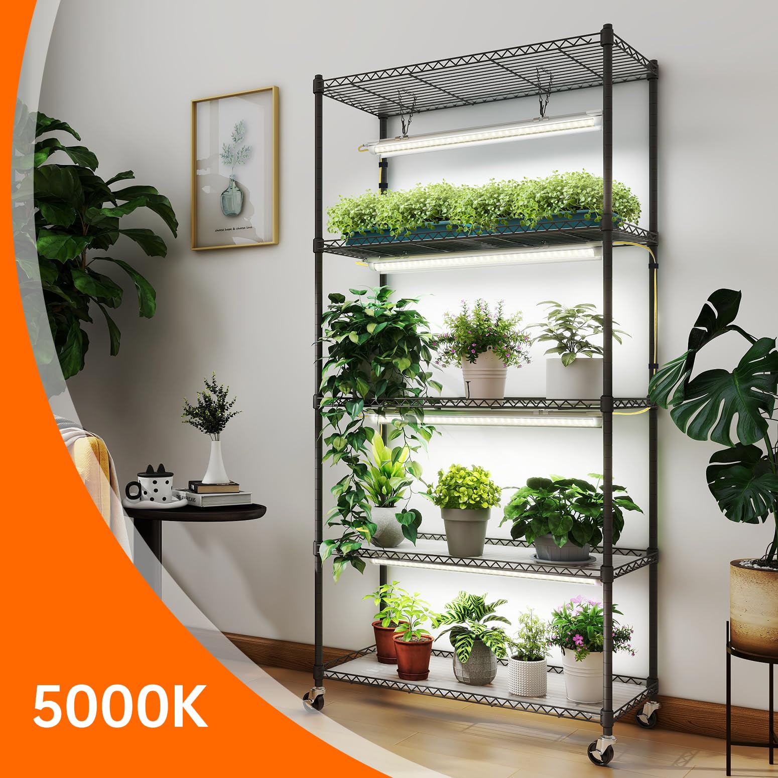 Bstrip 5-tier plant shelf side view showing compact indoor display