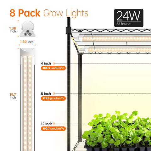 Bstrip seed-starting setup on shelf ready for seedlings and succulents