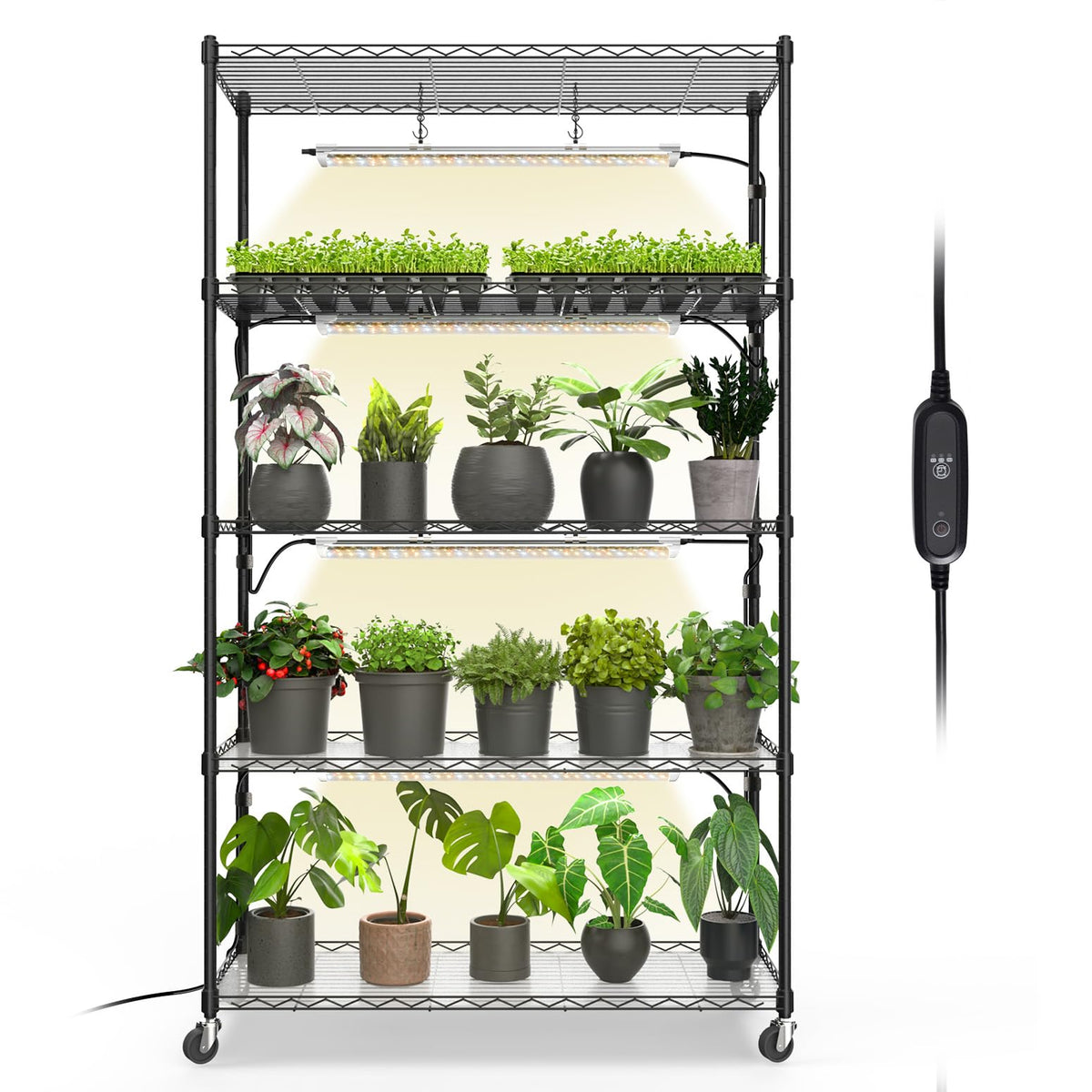 Bstrip plant shelf with grow light for organized indoor gardening.