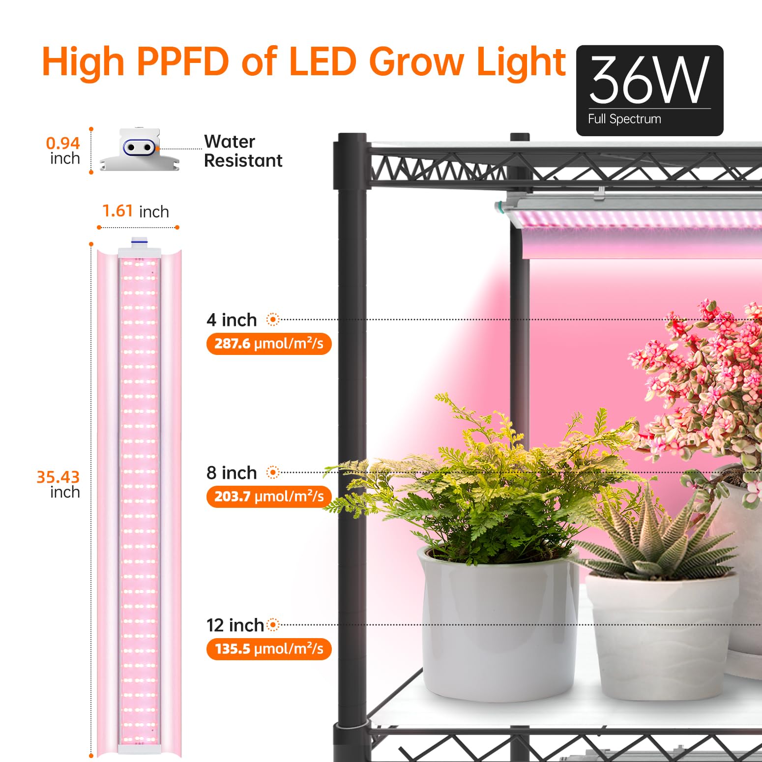 Bstrip 300 lb capacity supports dense plant setups.