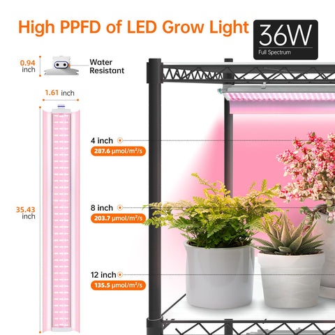 Bstrip 300 lb capacity supports dense plant setups.