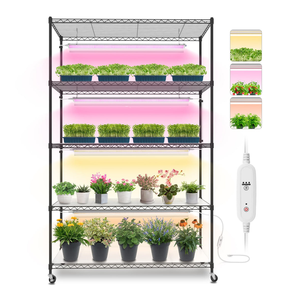 Bstrip plant stand with grow lights—5-tier display for year-round indoor gardening.