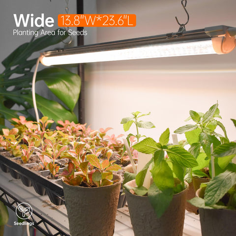 Bstrip PP pads prevent leaks during watering to protect lights and shelves