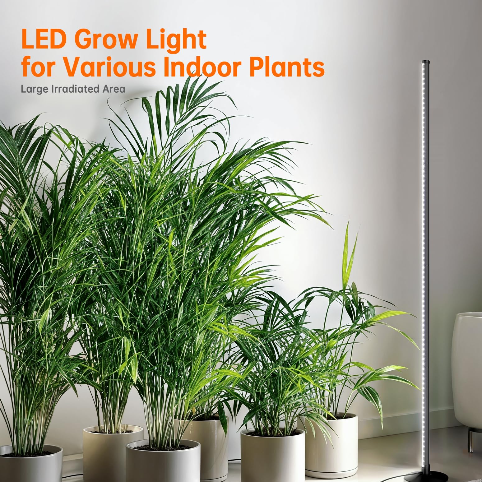 The Bstrip standing grow light height range image highlights adjustable height for diverse plant sizes.