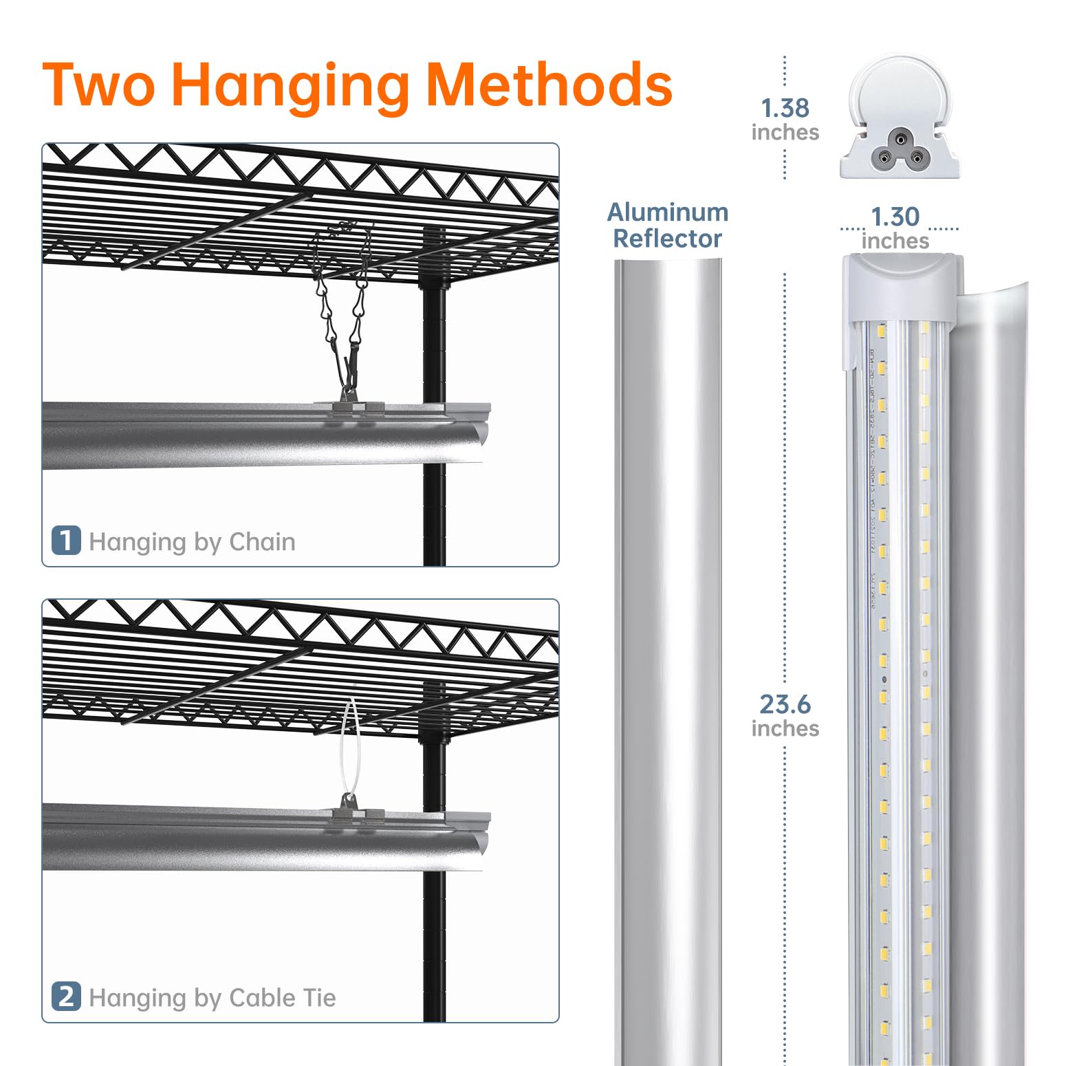 Bstrip Strong frame demonstrates 300 lb capacity for heavy specimens