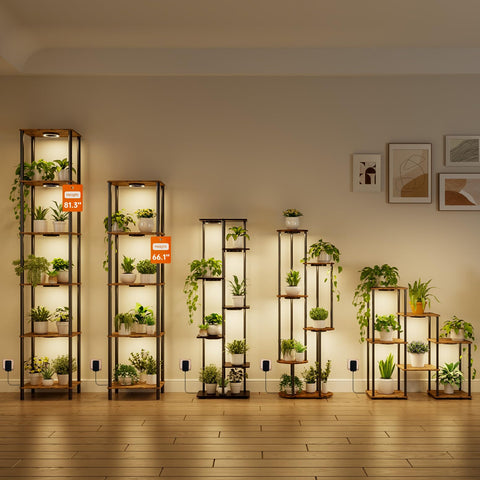 Bstrip sturdy metal frame ensures stable display for tall plant arrangements.