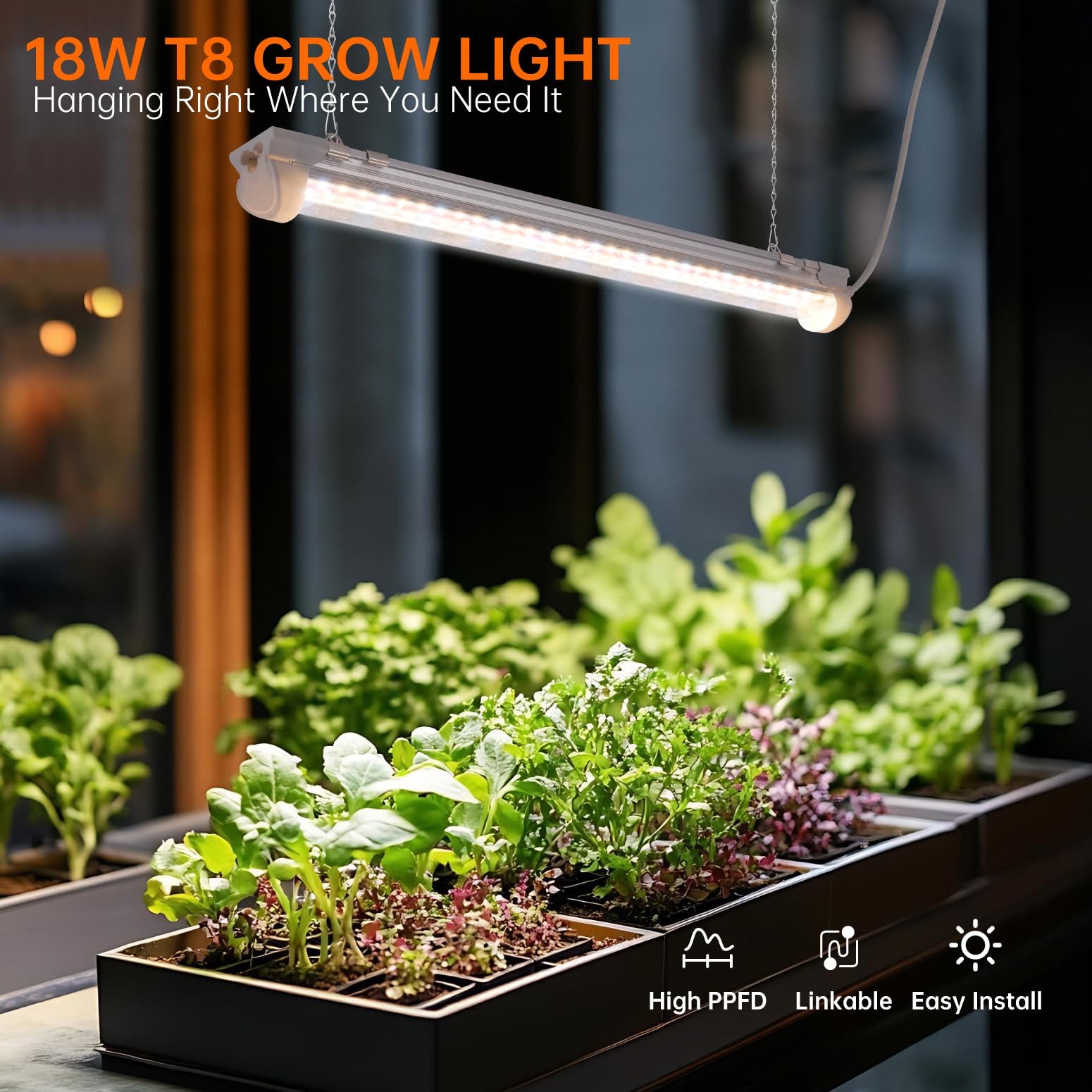 Bstrip T8 Grow Light timer set for automated daily cycles.