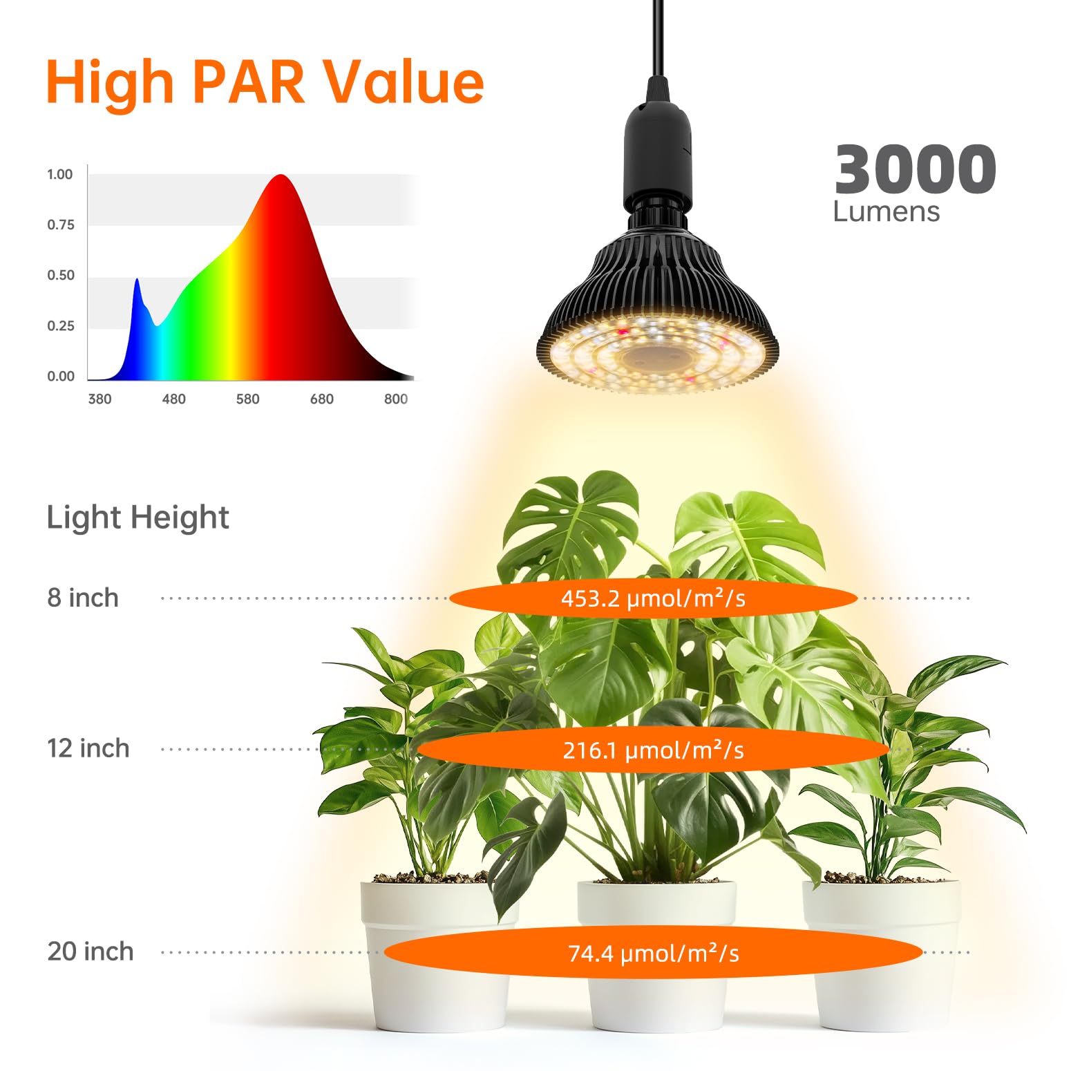 Bstrip timer-enabled plant light enables scheduled lighting.