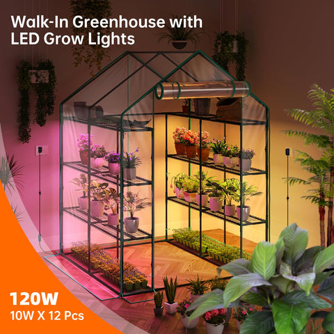 Bstrip Walk In Greenhouse door open for easy daily plant care