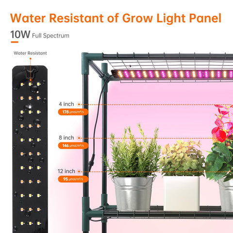 Bstrip Walk In Greenhouse LED lights provide full spectrum growth