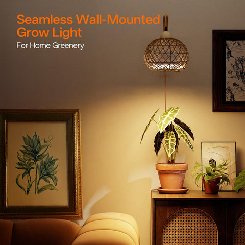 Bstrip wall-mount bracket setup enables easy installation in compact living spaces.