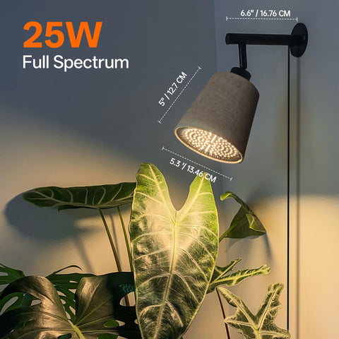 Bstrip wall-mounted linen shade softens light while supporting indoor plant care.