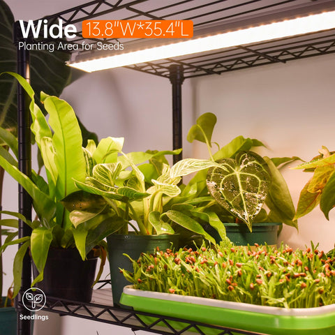 Bstrip waterproof PP mats prevent water spills during plant care on the shelf.