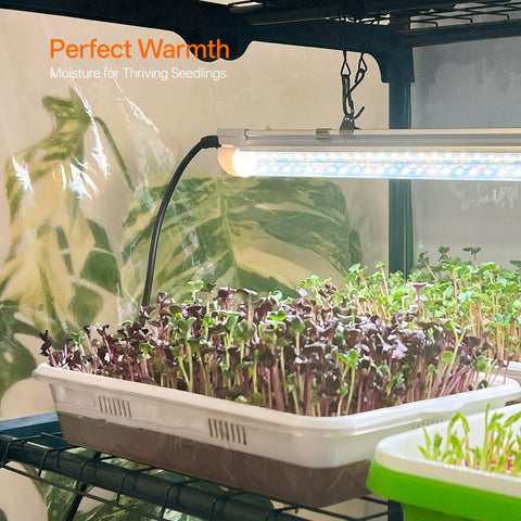 Bstrip zippered door provides easy access to plants