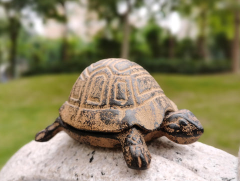 BSTWISH garden turtle key holder blends with outdoor decor and stores a spare key