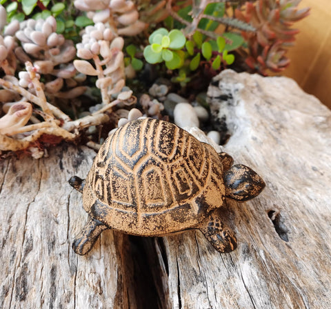 BSTWISH outdoor key storage turtle heavy cast iron design in a yard