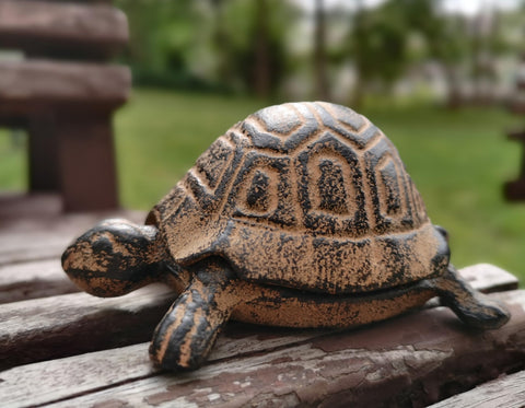 BSTWISH spare key turtle statue functioning as a decorative key box