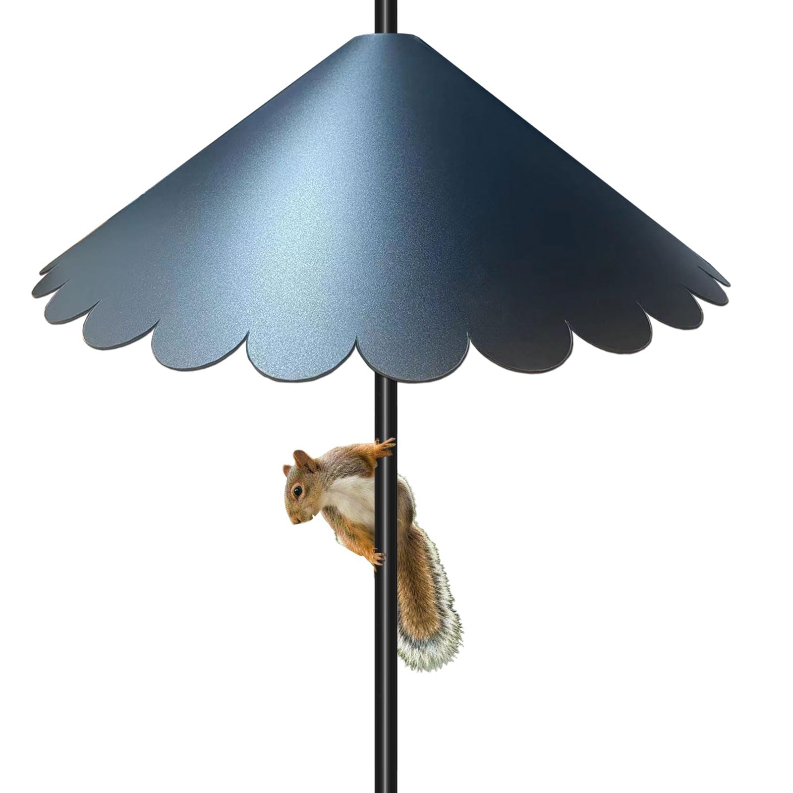 BTFCROCHOOK Squirrel Baffle on a 16-inch pole blocks climbing pests while keeping birds safe.